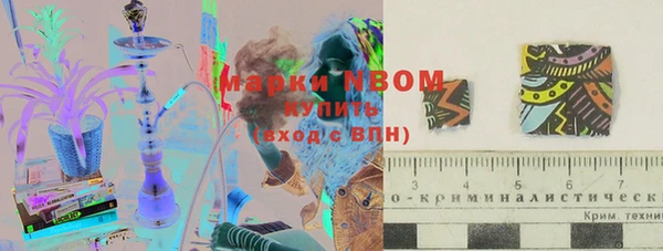 ПСИЛОЦИБИНОВЫЕ ГРИБЫ Россошь