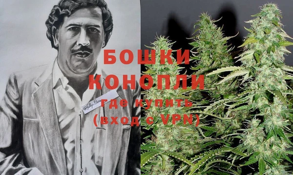 бошки Рославль