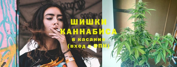 ПСИЛОЦИБИНОВЫЕ ГРИБЫ Россошь