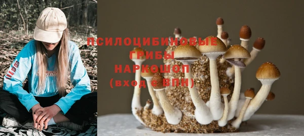 дживик Рыльск