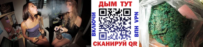 Канабис OG Kush Хотьково